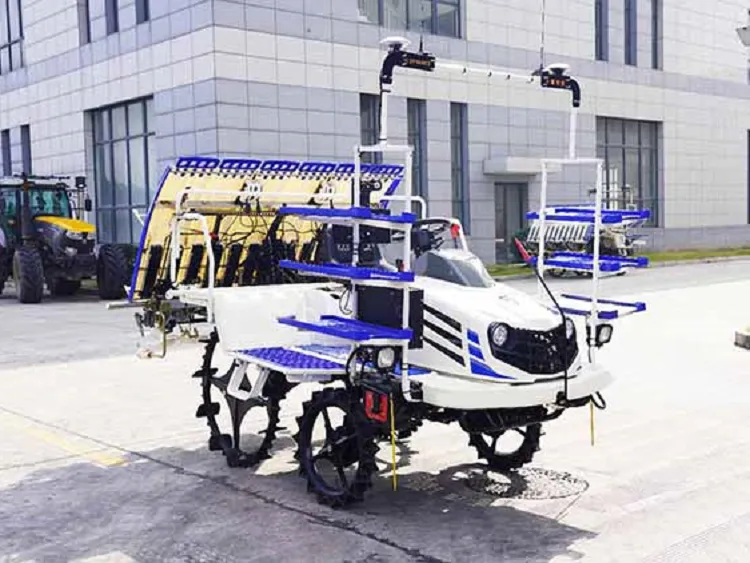 Landbúnaðar hrísgrjónaígræðsla